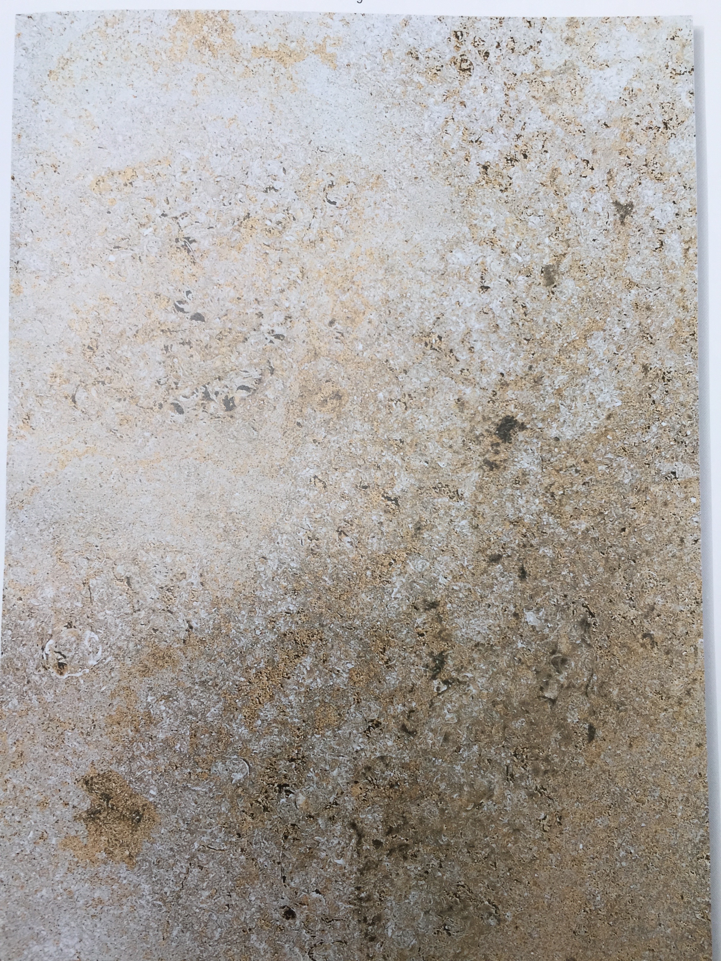 Kirchheimer Muschelkalk 