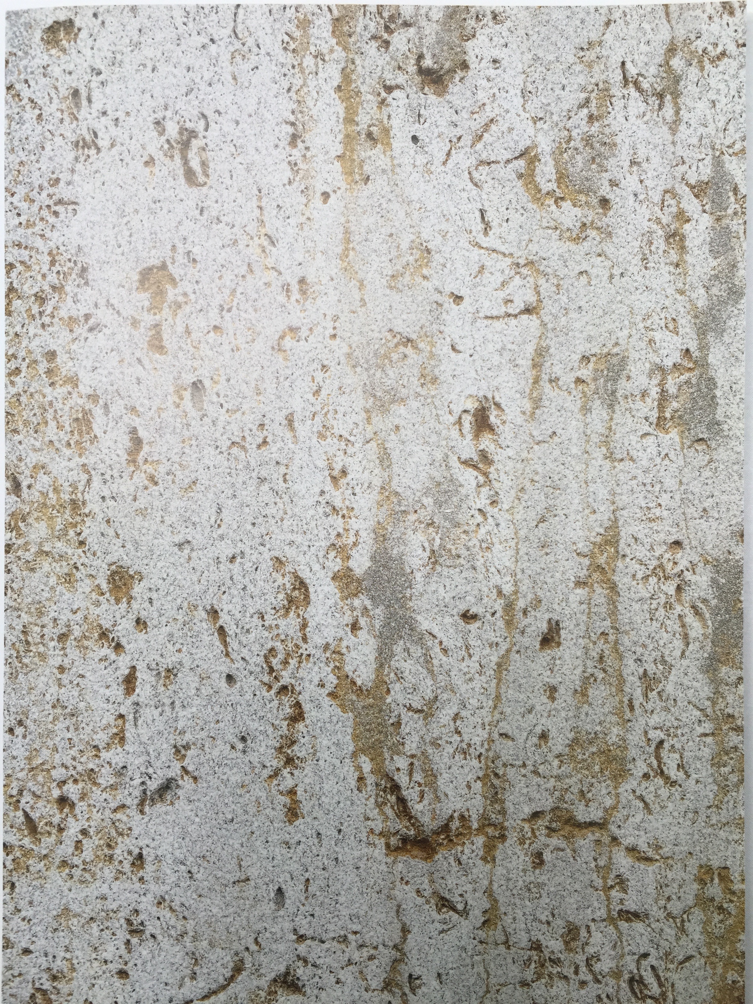 Kirchheimer Muschelkalk 